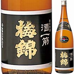 nihonshu-umenishiki-junmai-ginjo-genshu-sake-hitosuji
